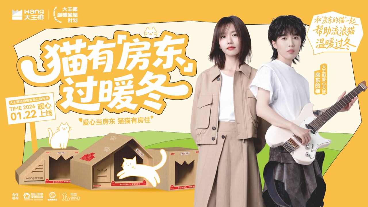 大王椰温暖喵屋计划3.0｜这个冬天，和房东的猫一起，做流浪猫的真“房东”！