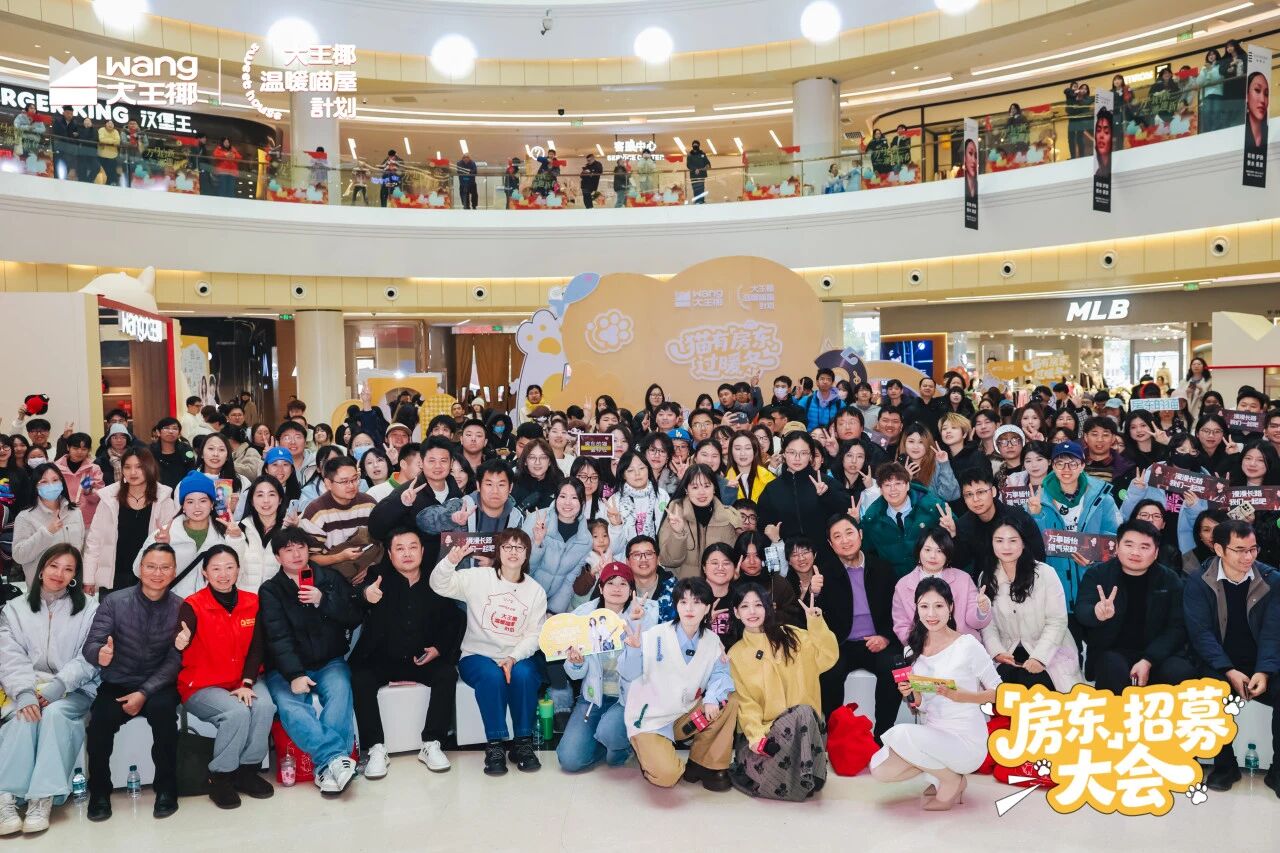 房东招募大会回顾｜这个冬天，和房东的猫一起，在南昌找猫房东